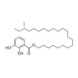 1225022-67-2 | 5mg | RS-08207