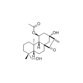 125164-55-8 | 5mg | RS-01978