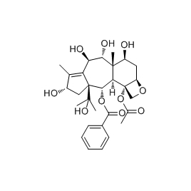 156497-25-5 | 5mg | RS-04181