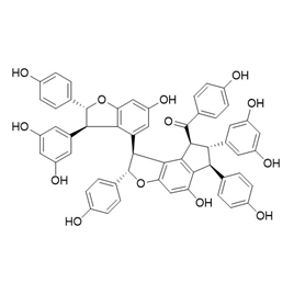 174916-31-5 | 5mg | RS-09211