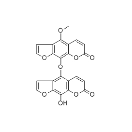 194145-29-4 | 5mg | RS-07091