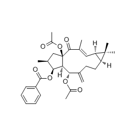 218916-52-0 | 20mg | RS-00230