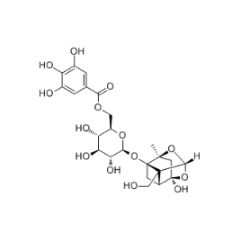 262350-51-6 | 5mg | RS-05210