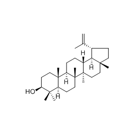 545-47-1 | 20mg | RS-01467