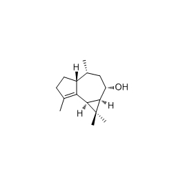 70206-70-1 | 5mg | RS-04272