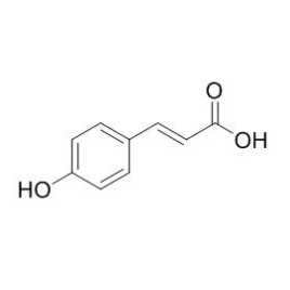 7400-08-0 | 20mg | RS-02444