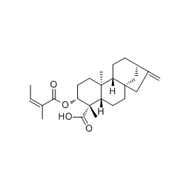 74635-61-3 | 5mg | RS-05454