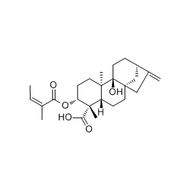 79406-11-4 | 5mg | RS-03669